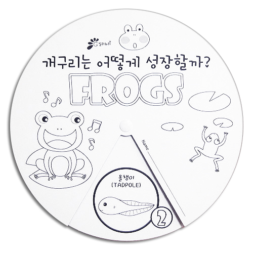 [칼라노리] 개구리 성장과정(5인용)
