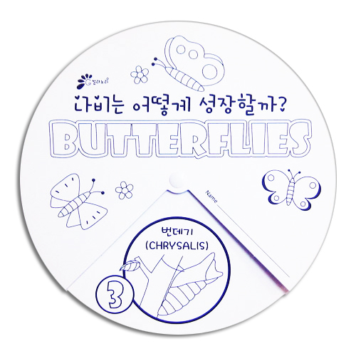 [칼라노리] 나비 성장과정(5인용)